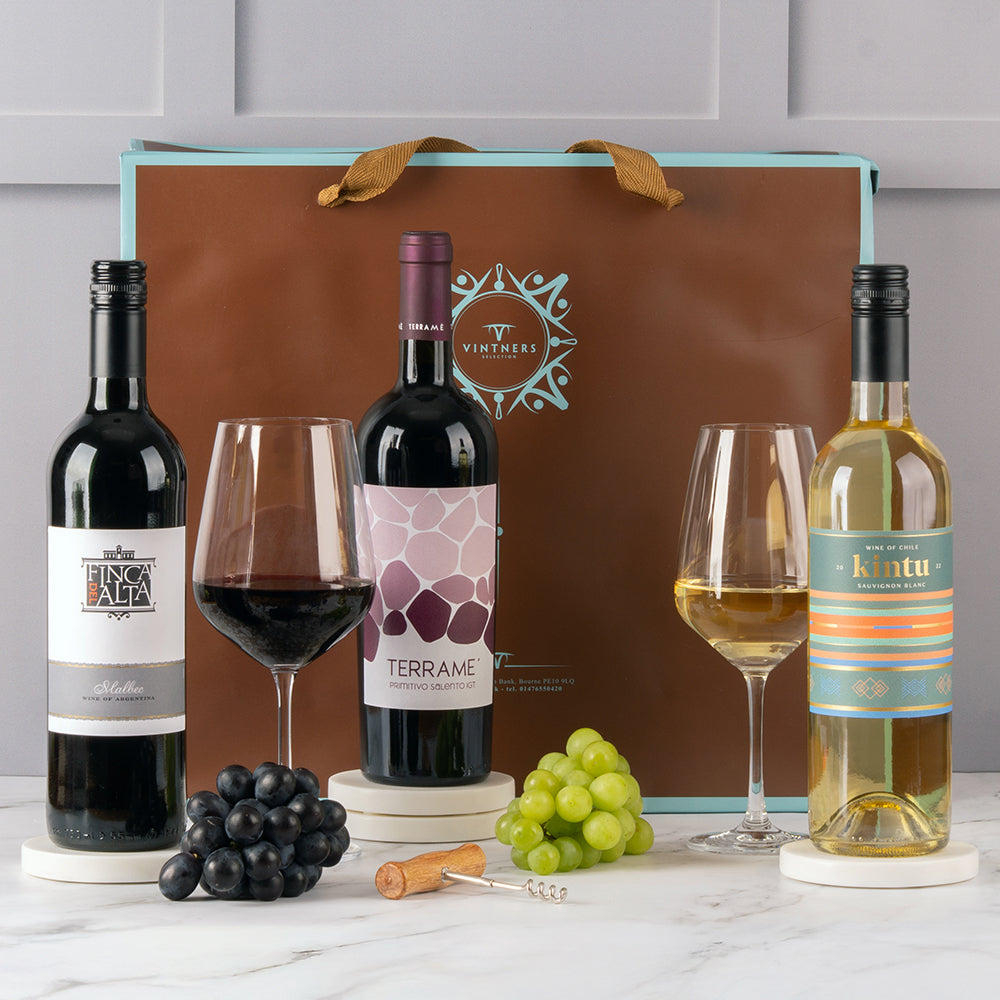 Wine Lovers Contemporary Mixed Three