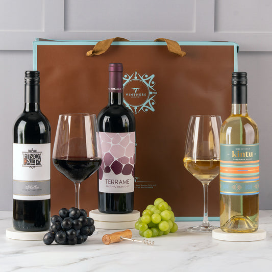 Wine Lovers Contemporary Mixed Three