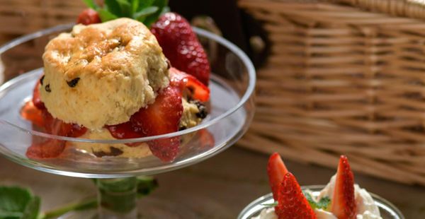 Cream Tea Hamper Gifts for Mother's Day