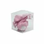 Pink Chocolate Pralines in a cube box, Crea x 3